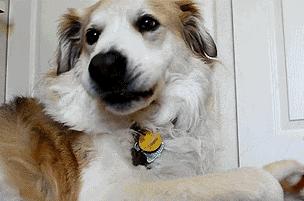 魏巍十大临床案例,魏巍临床经典案例