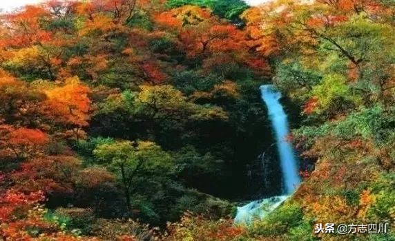 四川改革开放的案例,四川的改革开放成绩