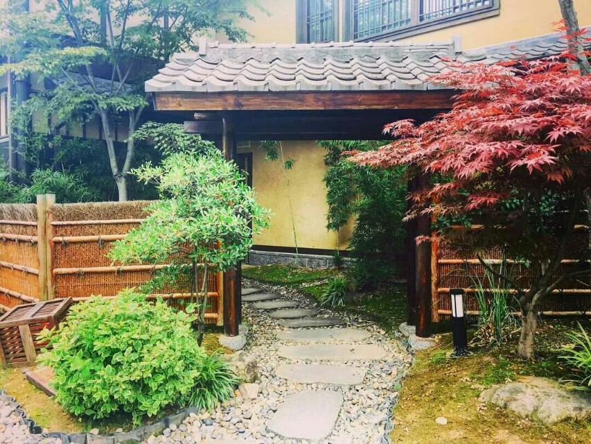 巜以苏轼之名，品味宋代极致美学》——王伟书法之十五