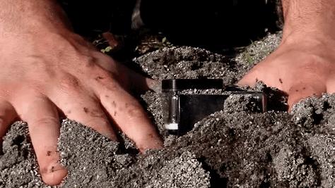 食人蚁袭击人类,一口气看完食人蚁袭击人类