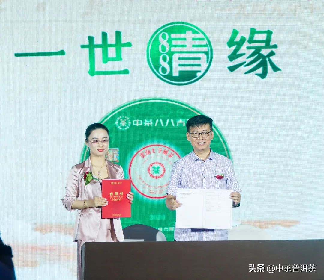 中茶翡翠白菜新品发布会,中茶八八青饼发布