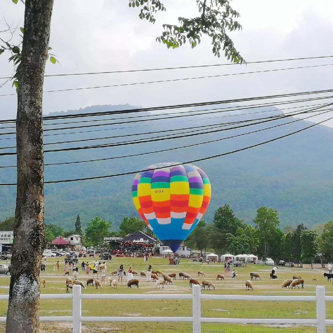 清迈的现状,清迈重逢