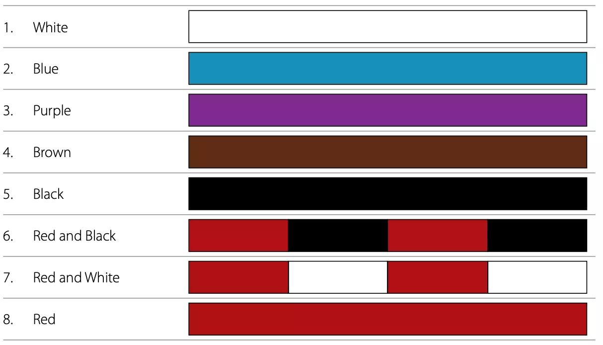 巴西柔术教学日本柔术,巴西柔术入门教学免费下载