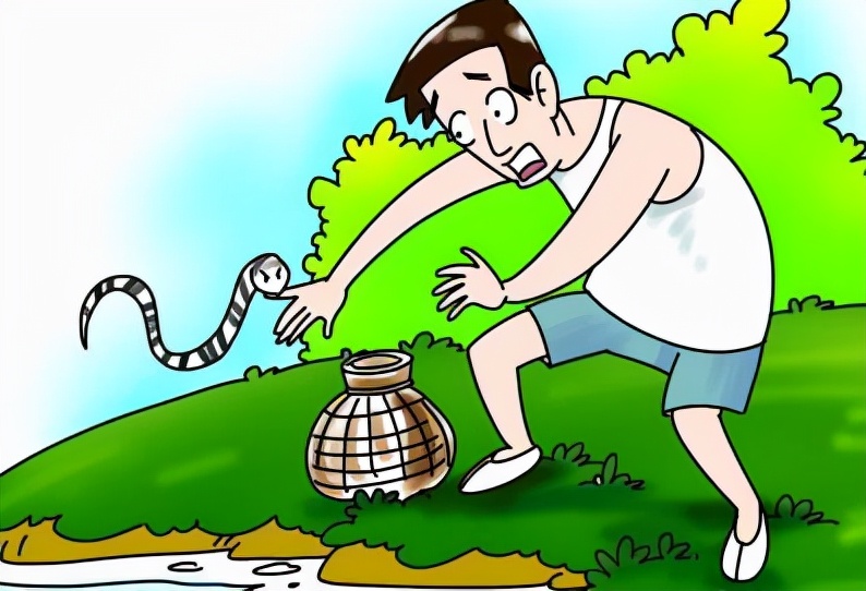 福建一工地挖出“冬眠”蟒蛇,一工地挖出“冬眠”蟒蛇