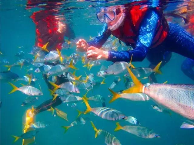 对帕劳之行的感悟,帕劳一场诗和远方的旅行