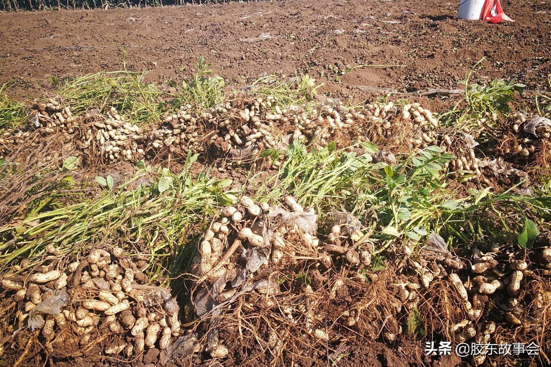 莱西在山东地图的位置,莱西距离海边最近的地方