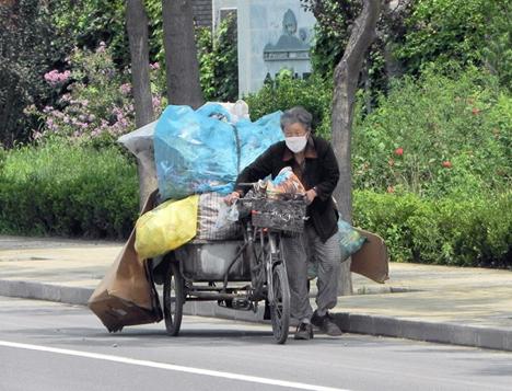 垃圾堆的真实现状,垃圾堆的真实生活
