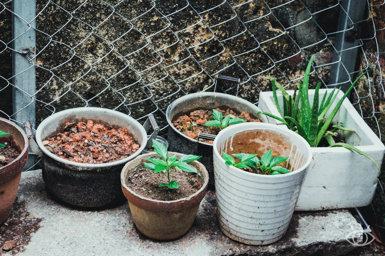 深圳值得逛的古镇,深圳有一条街全是复古的