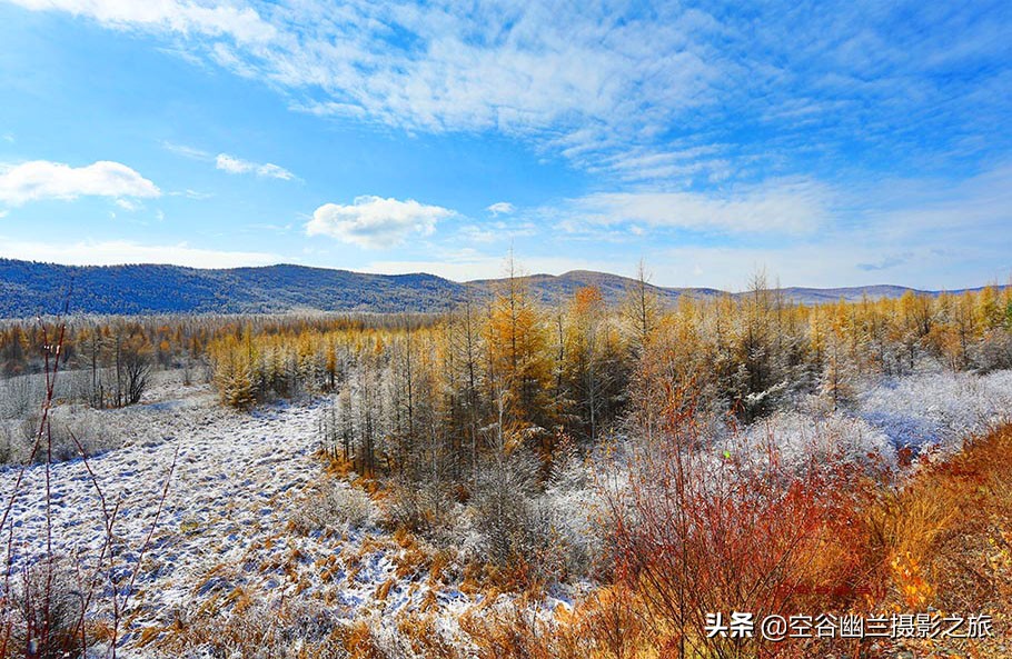 在莫尔道嘎，我遇见了最美的秋雪