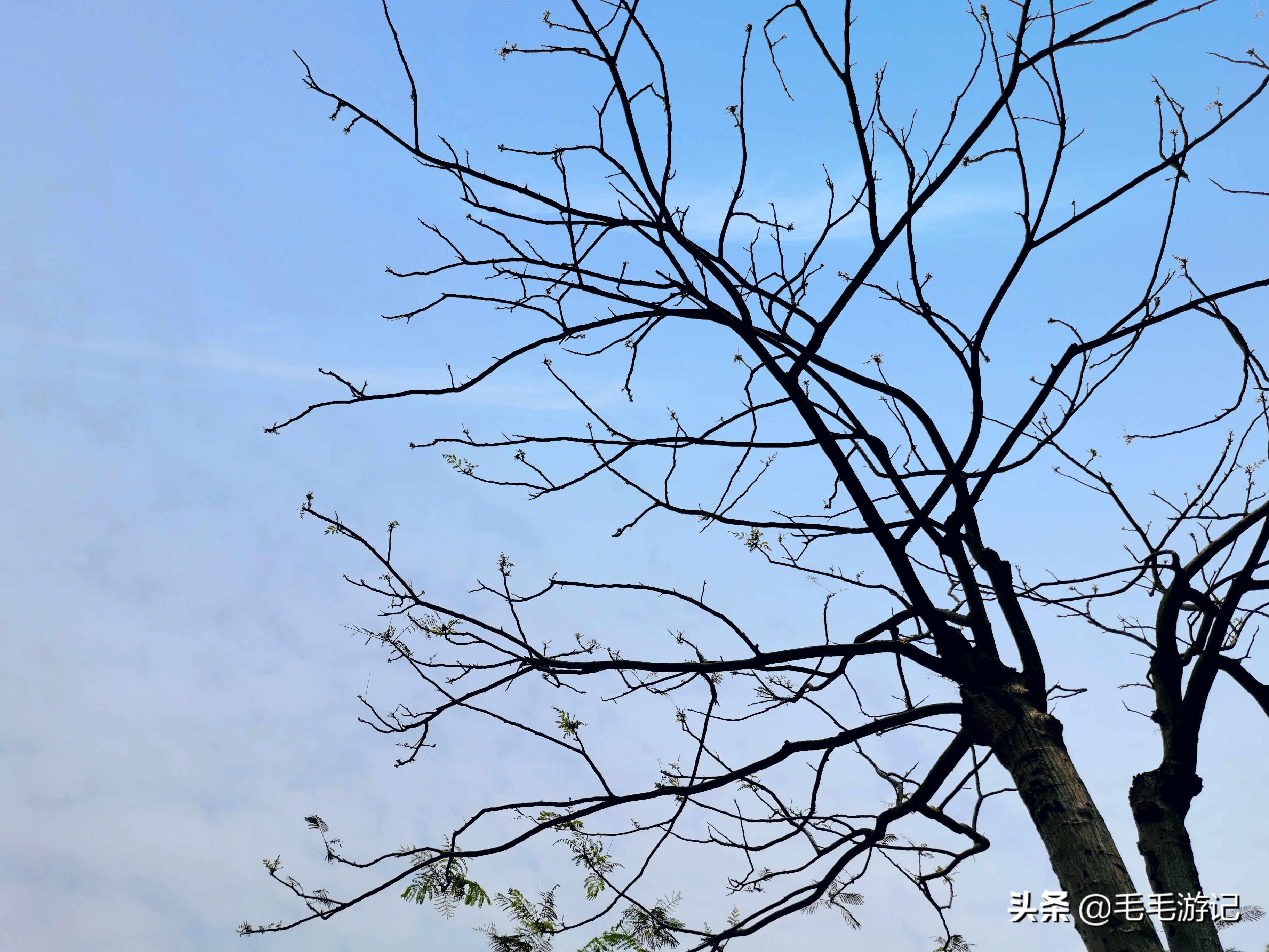 户外散步海珠湖,户外徒步广州