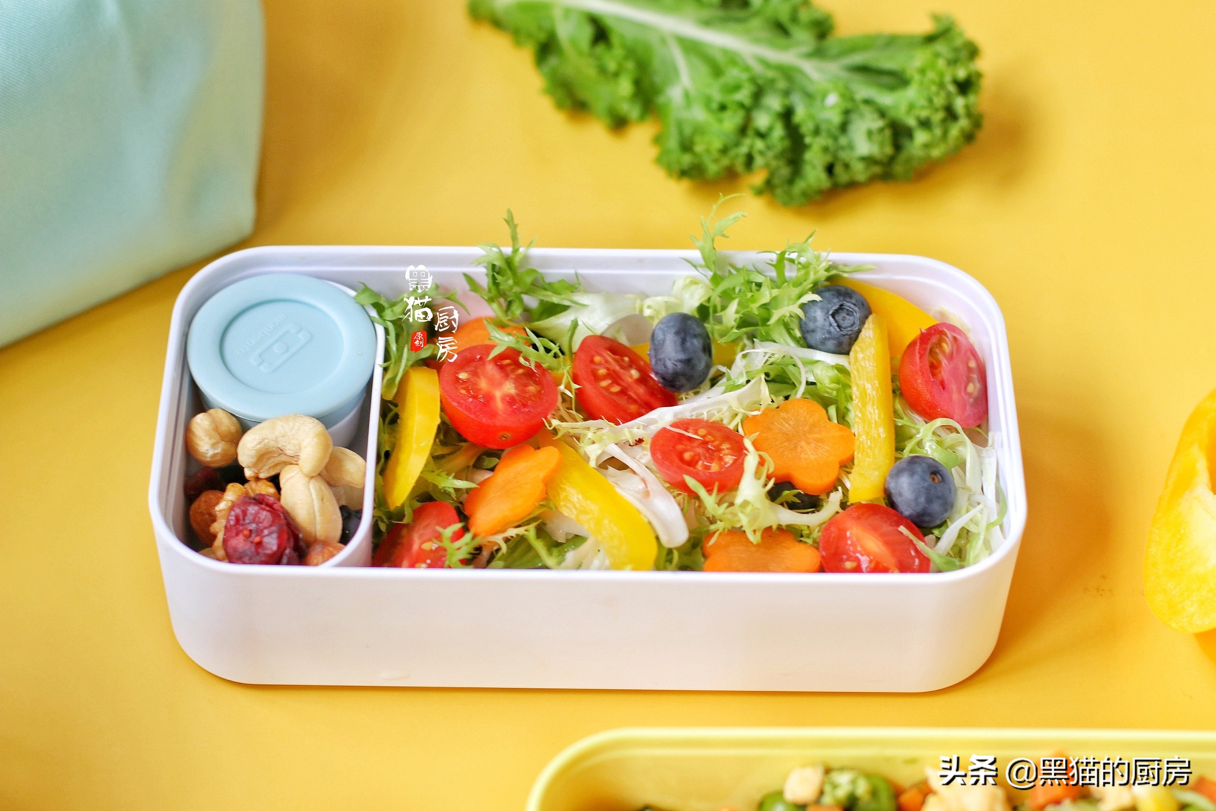 减肥期间沙拉和沙拉酱选哪个好,0脂肪沙拉酱牛油果沙拉