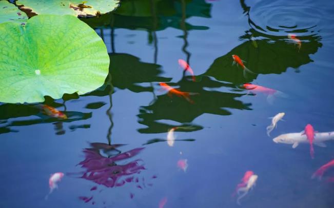 玩真人cs攻略,真人cs户外野战运动去哪玩