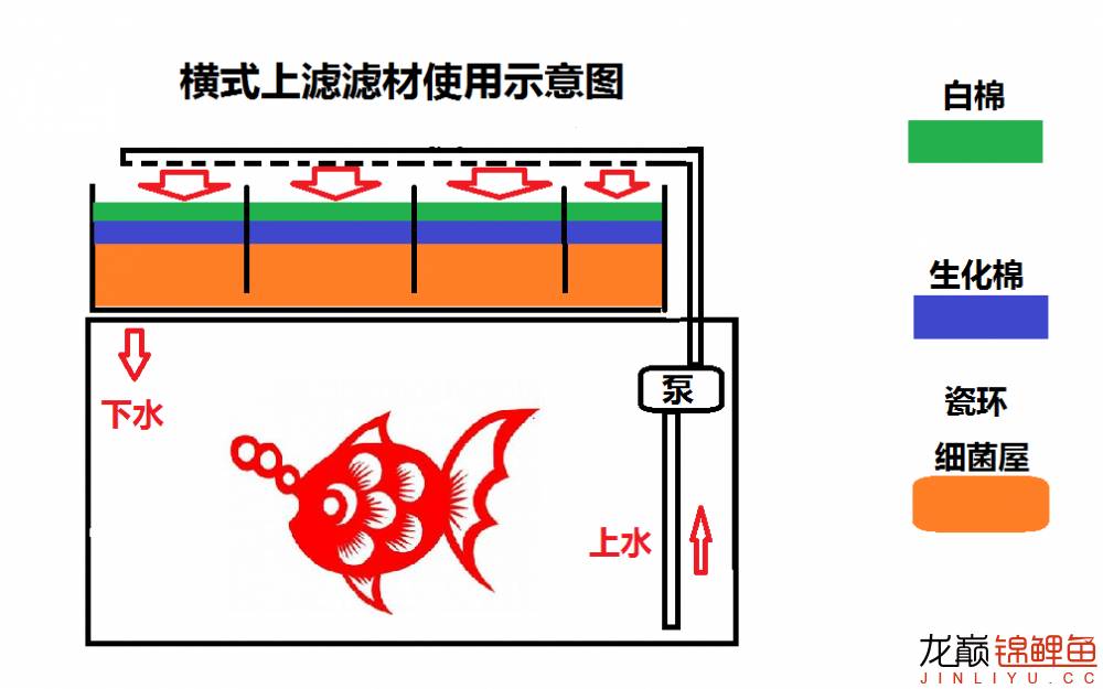 鱼池底部过滤大全详解,养鱼鱼池过滤怎么选择