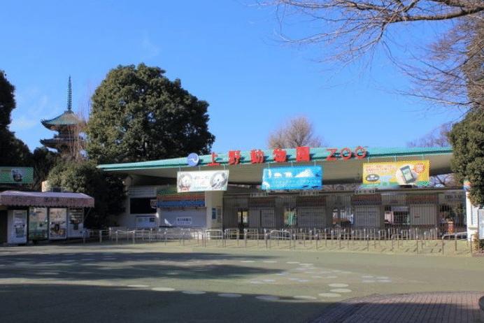 一头来自泰国的黑豹，让整个东京骚乱12个小时，日本人都不敢出门