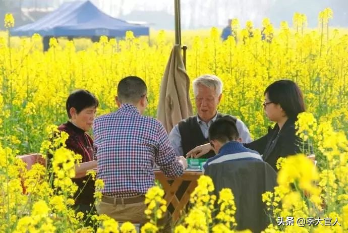 国粹麻将直播,国粹麻将教学