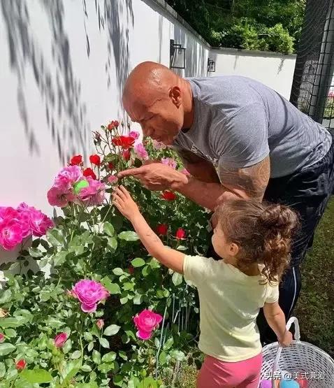 巨石强森的幸福生活,巨石强森2019婚姻