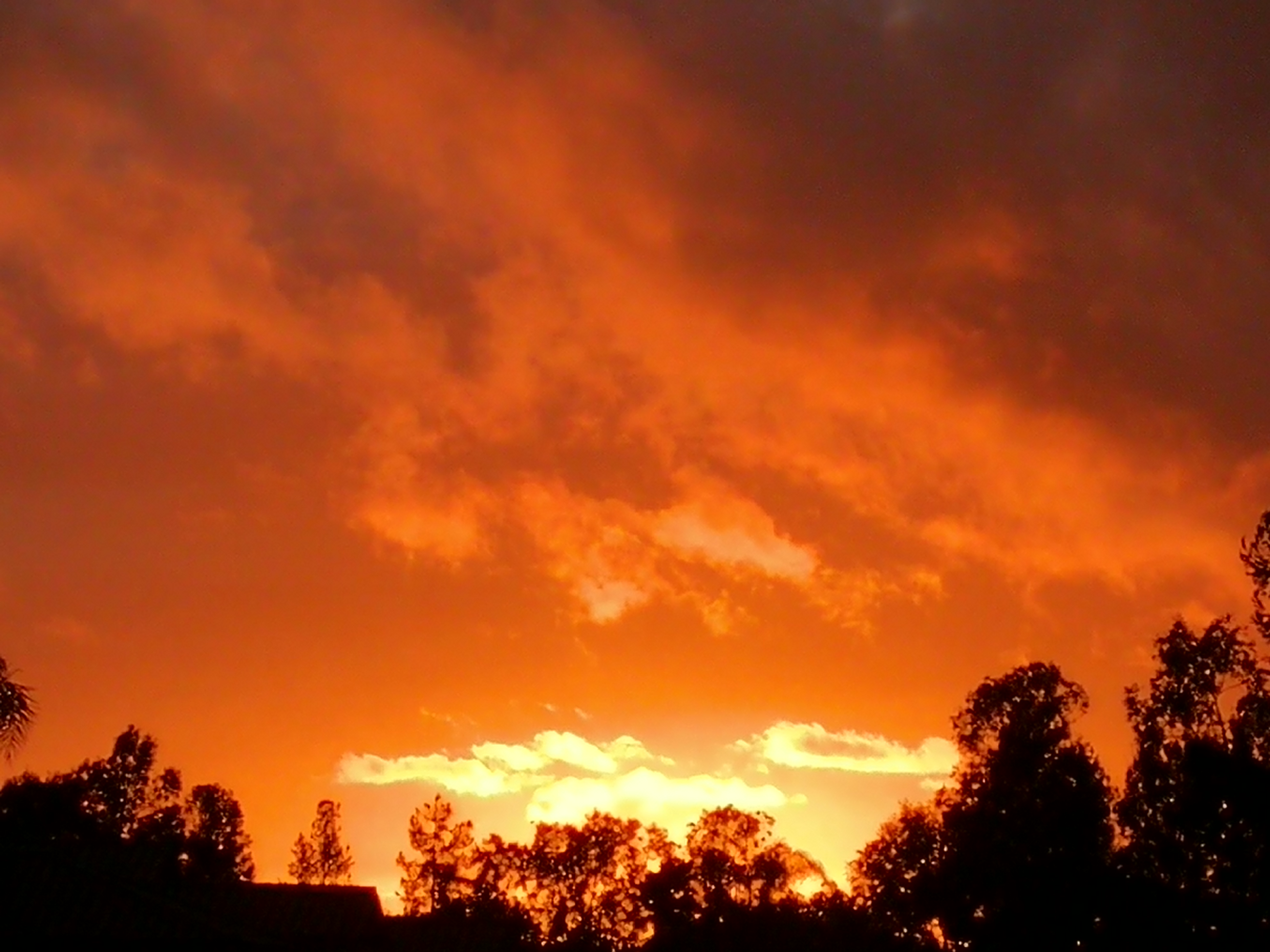 你的*款贷**利率会下降吗？你要缴纳的费率会降低吗？看看这里就知道