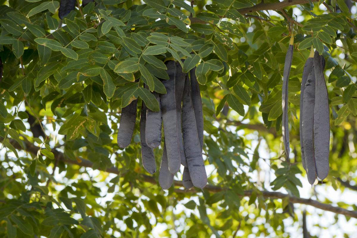 涨知识:古代没有肥皂牙膏等洗漱用品他们都怎么办了?