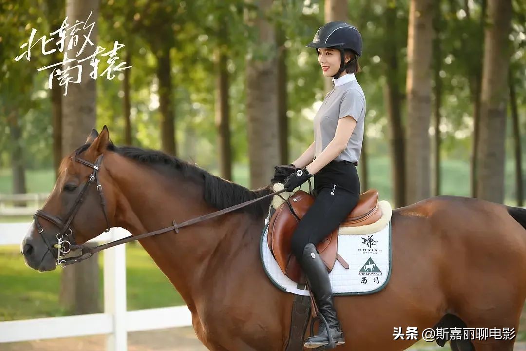 没有随随便便成功的人,冯小刚北辙南辕口碑崩塌的原因