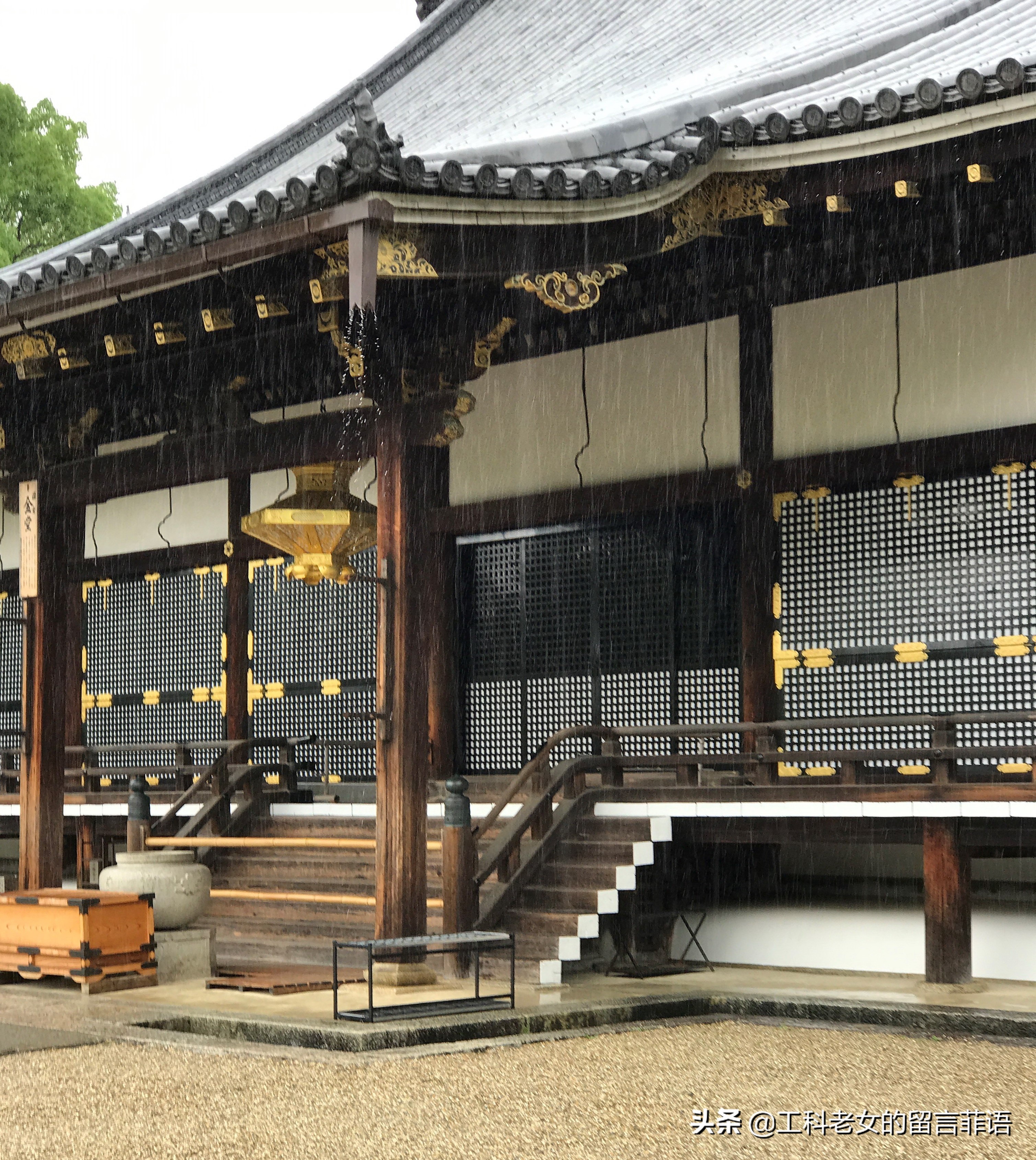 夏天去京都注意哪些事项,盛夏去哪玩