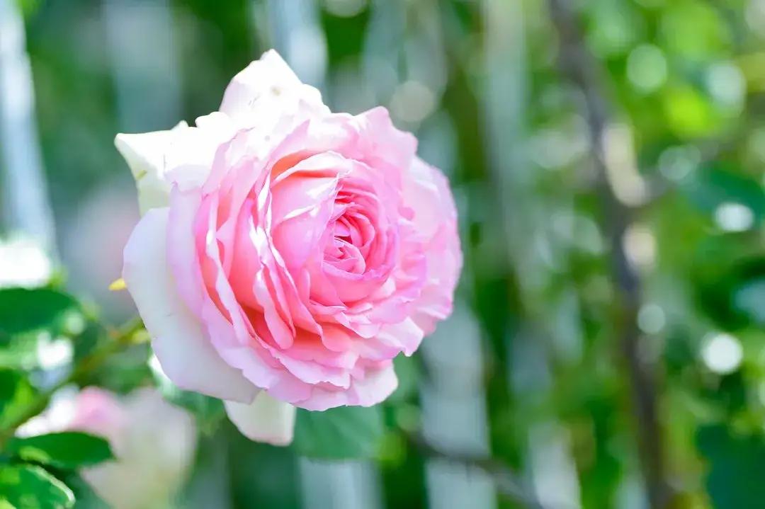 太累的话就给自己按个暂停键吧,感觉很累的时候还应不应该坚持