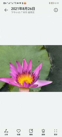 新手如何快速上手华为p50pro,深度评测华为p50与华为p50pro视频