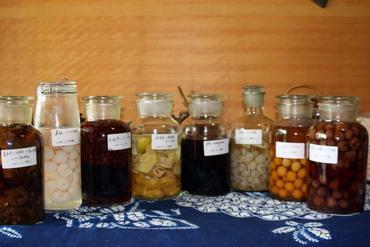 果酒褐变度的处理,果酒后期浑浊的处理