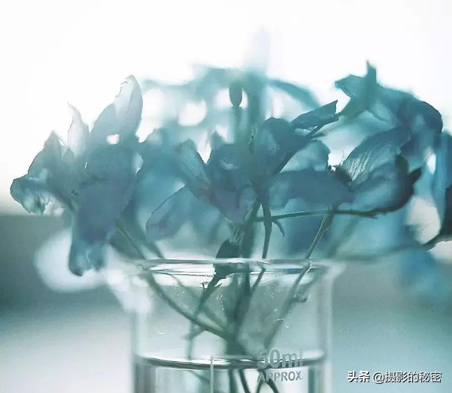 世界顶级摄影师的经典摄影作品,全球100位摄影师分享