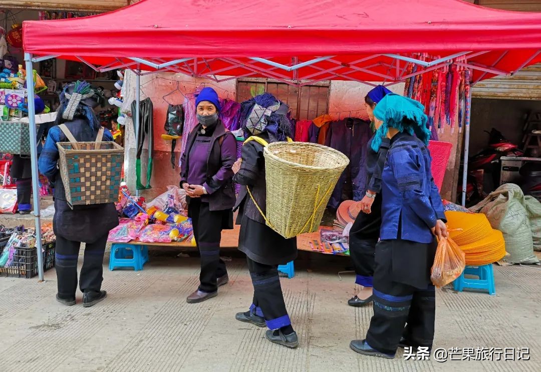 为何对云南评价低游客却络绎不绝,云南负面信息