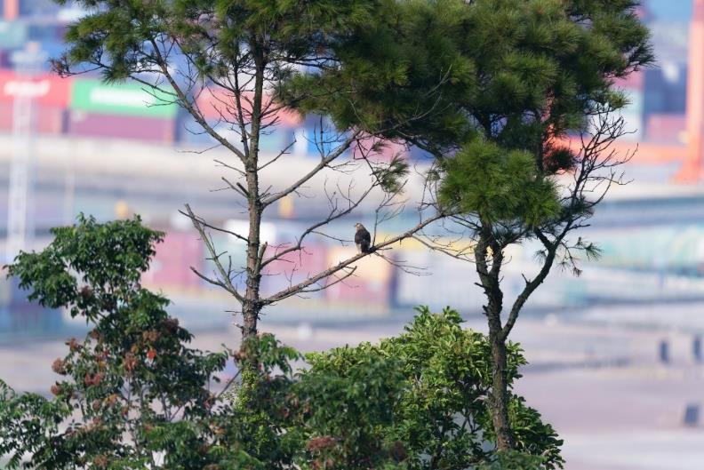 索尼alpha6000使用方法,索尼alpha6000使用技巧