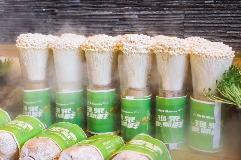 轰动火锅界的鲜货模式，老板放话：不新鲜就退货