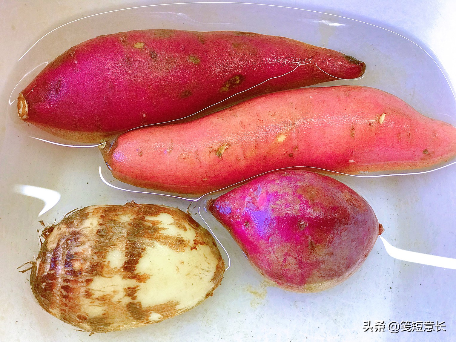 谷雨后五谷丰登,谷雨风调雨顺五谷丰登