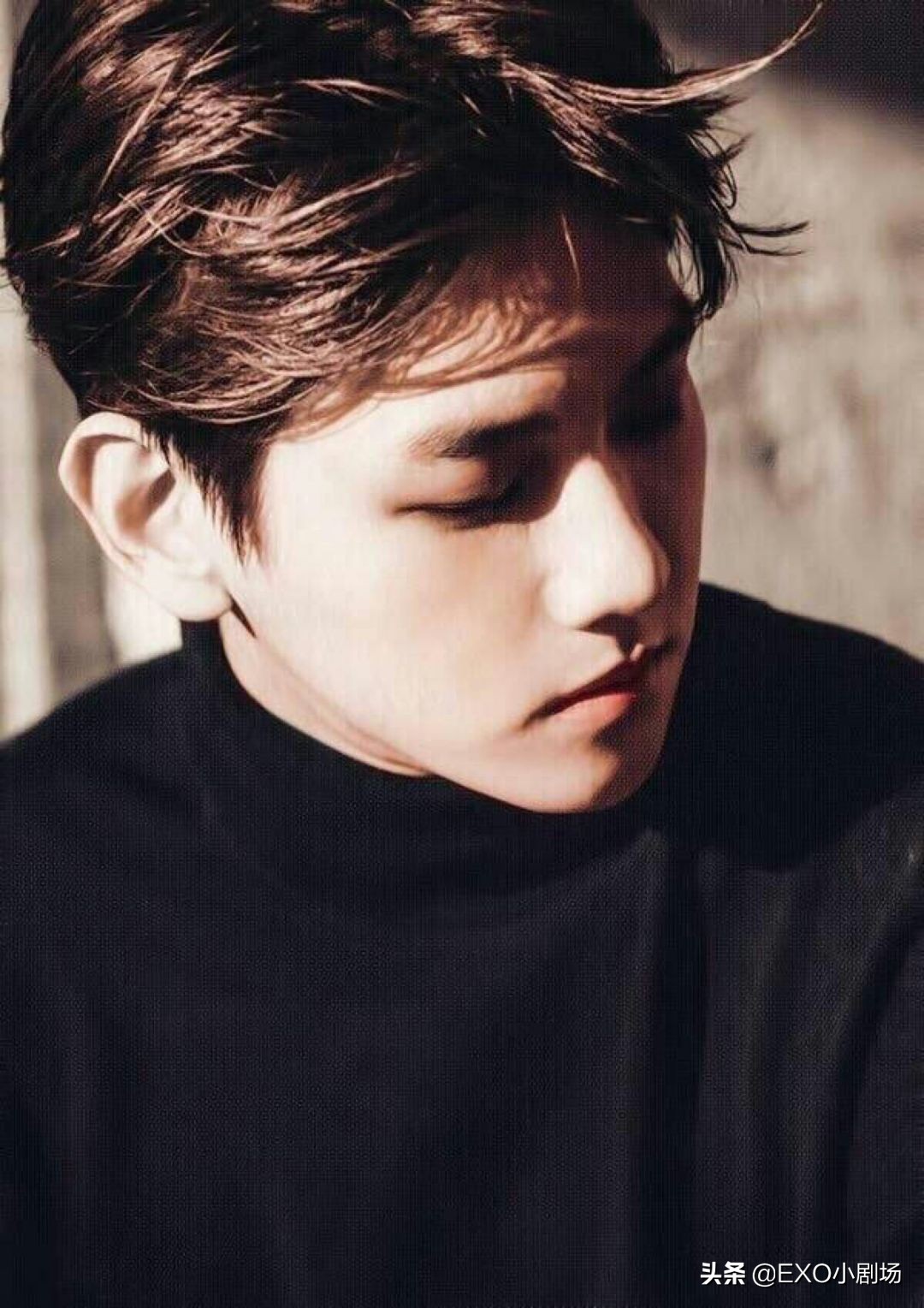 exo十一周年边伯贤loveshot,exo人间理想