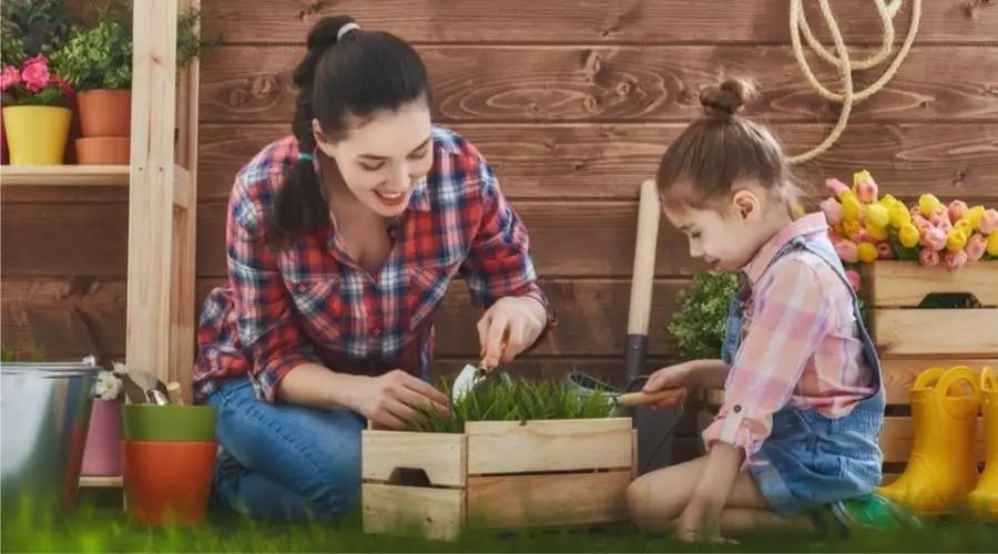 妈妈陪儿子考研双双被录取,50岁妈妈陪女儿考研被双双录取