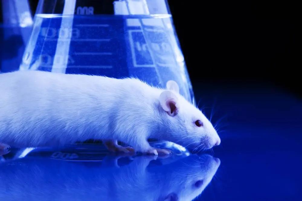 抠手、啃指甲停不下来，这些习惯要注意