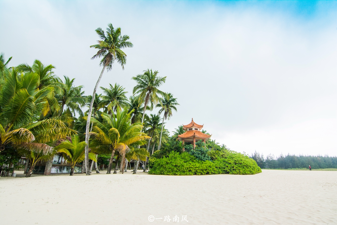 海南椰子最漂亮的地方,海南椰子最多的地方