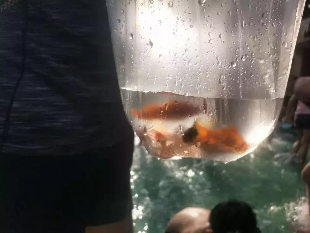 博远大型主题泡泡趴活动圆满完成