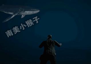 绝地求生的海里有什么？网红“鲲”上榜，你见过几个？