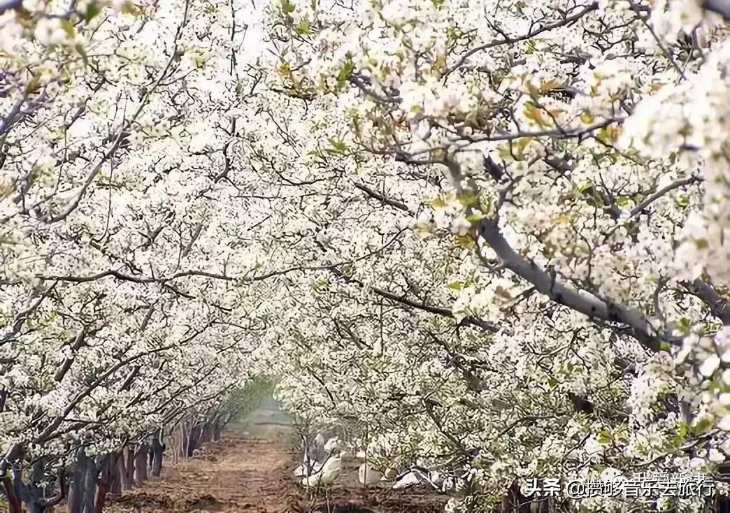 开挂了这座人口仅30万的小城,却连续5年上榜“四川省十强县”