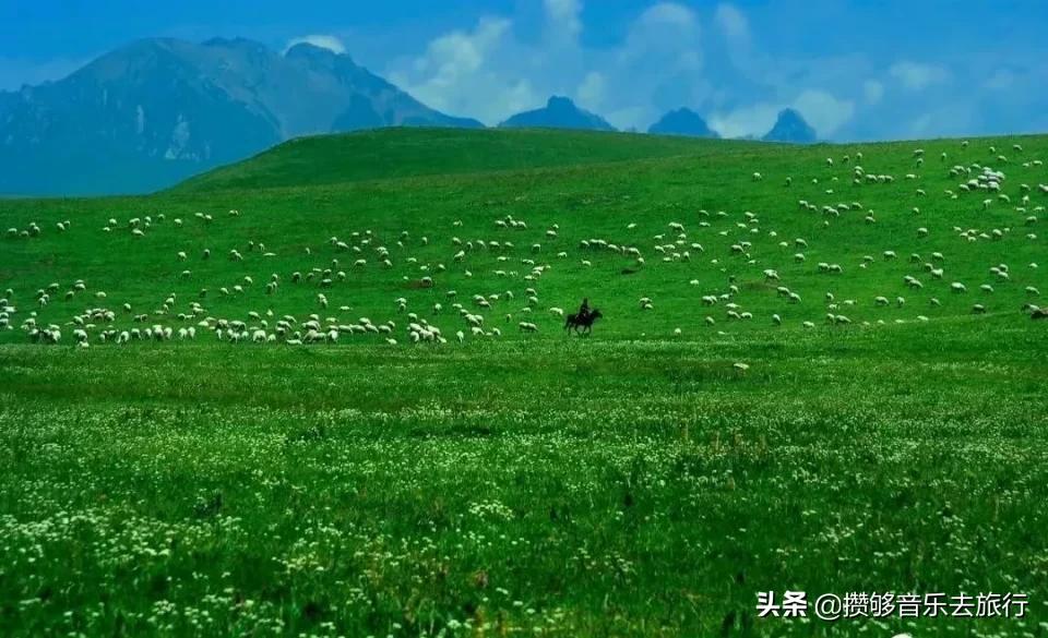 7月能去若尔盖,花湖若尔盖七月天气