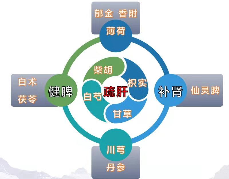 疏调气机,疏调气机汤组方