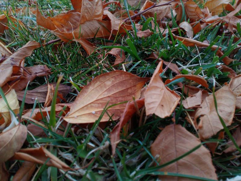 联想乐檬k32c36手机测评,联想乐檬K3测评