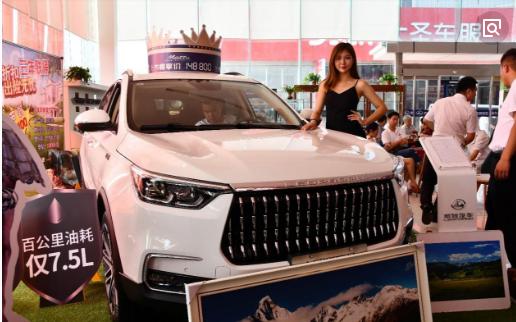 猎豹全球销量,2018年的猎豹