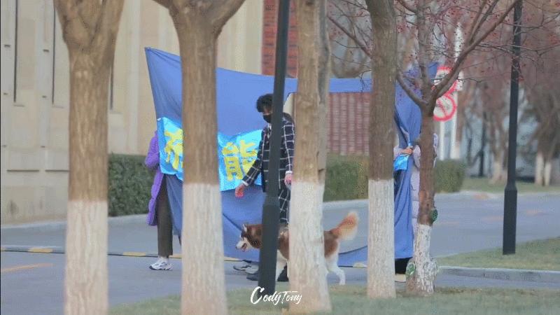 青三成员公布恋情,青三官宣出道