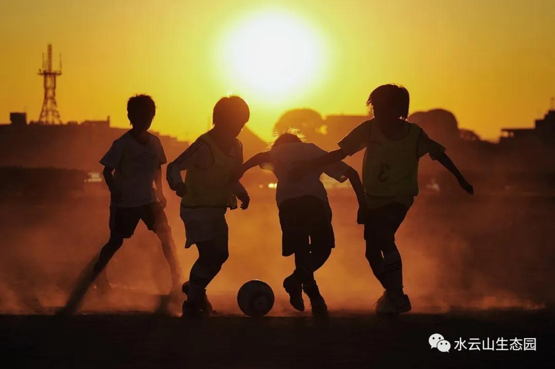 缇庝附涔℃潙鍏泭瓒崇悆,涔℃潙鍏泭瓒崇悆娲诲姩