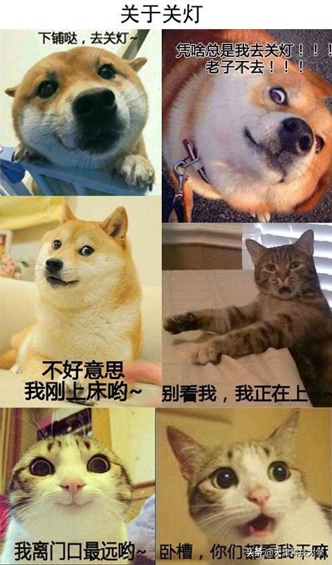 大学生生活真实案例,大学生真实生活实录