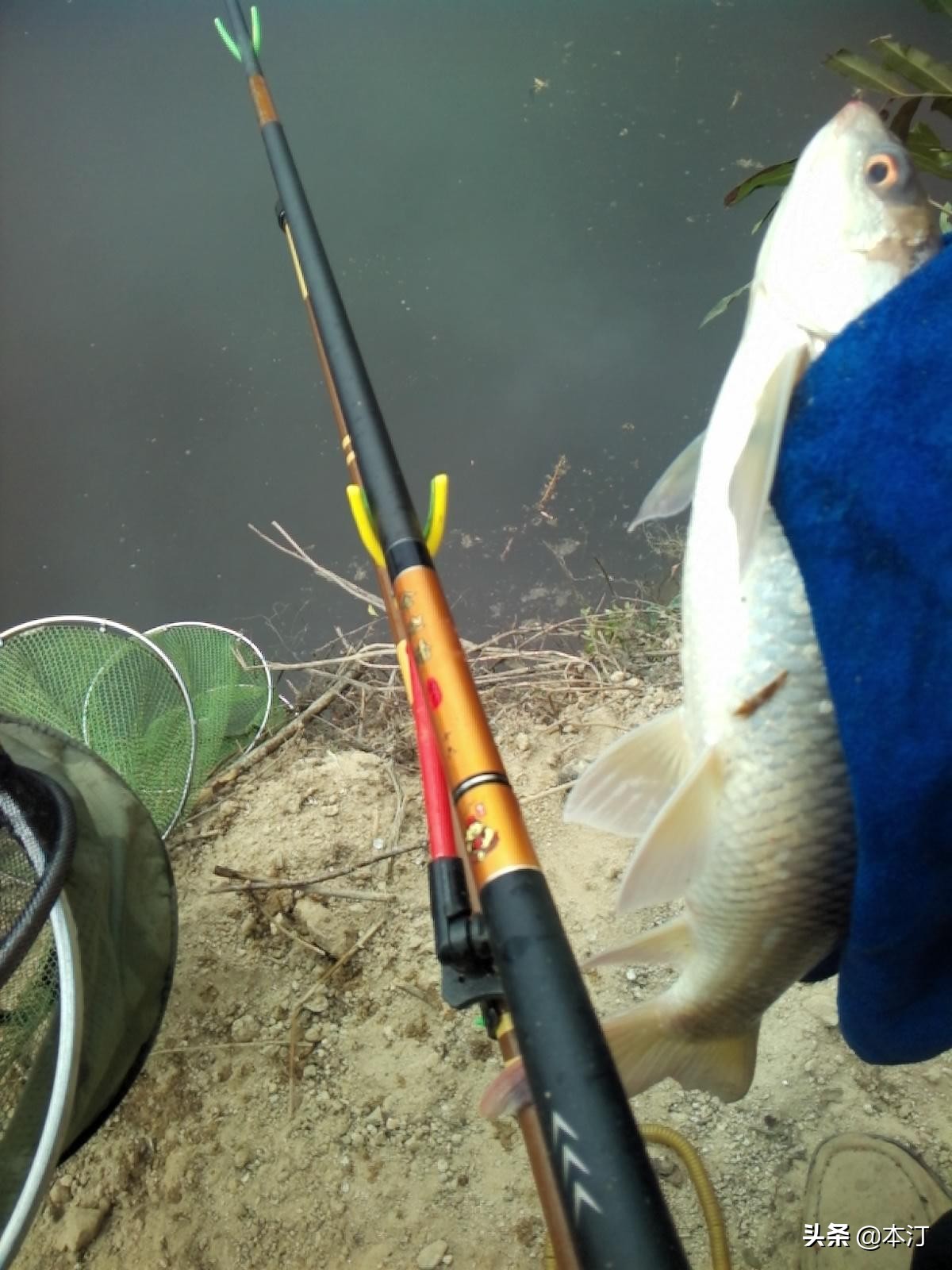 钓鱼怎么选择窝子,石窝钓鲤鱼钓法