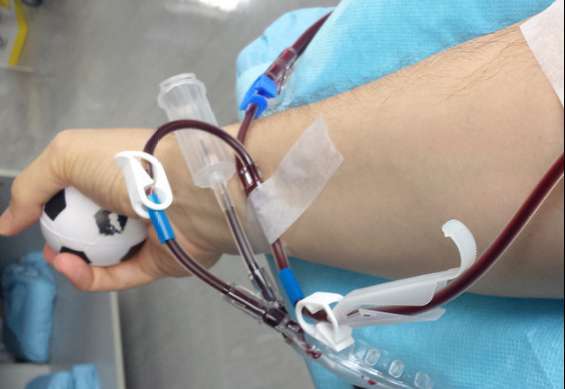 辟谣,熊猫血最稀有?错,这种血型更少见,很多人甚至没听过