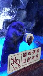 三编,三编是什么