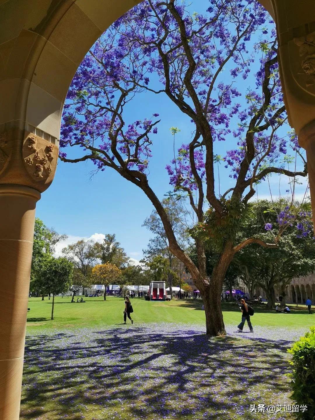 澳大利亚昆州新移民政策,澳洲昆州留学生最新通知